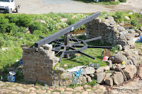 IMG_7940.JPG Photo