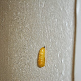 DSC01926.JPG