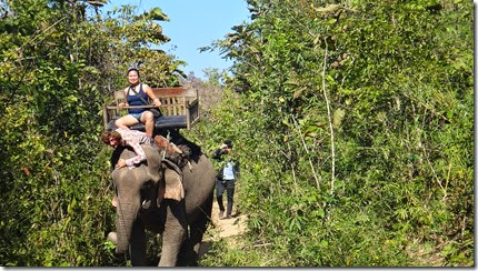 Laos Luang Prabang Elephant camp 140201_03979
