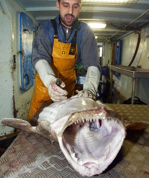 [clip_image004%255B4%255D%255B3%255D.jpg]