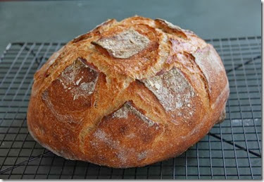 bread_web