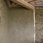 IMG_9931.JPG
