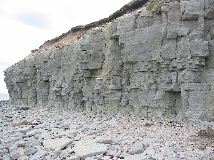 Limestone Sedimentary rocks