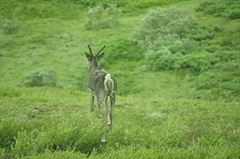 DSC_7873 DSC_7873