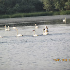 IMG_7903.JPG