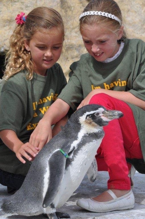 [Children%2520with%2520Dippy%255B5%255D.jpg]