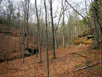 DSCN1746.JPG