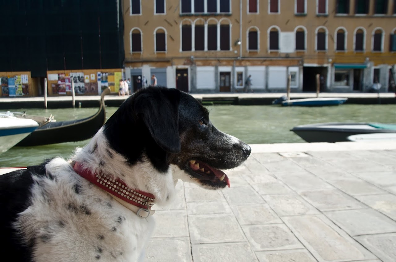 Abby in Venice