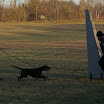 DSC09148.JPG
