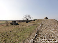 dsc06867.jpg