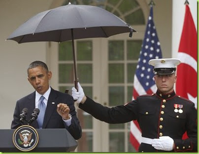 bo marine umbrella