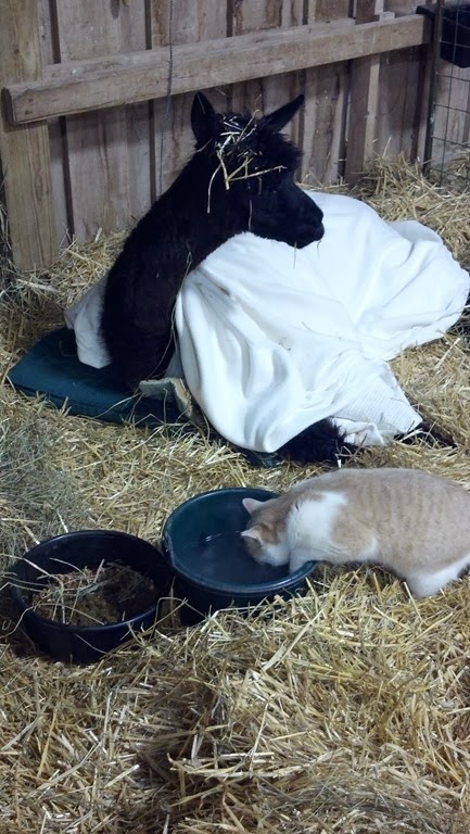 [mariah%2520and%2520peaches%255B3%255D.jpg]