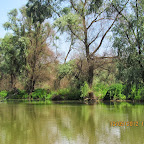 IMG_7748.JPG