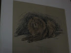Like Martha, Phoebe and Jackie also love chow chows. This is Abraham in his glory days.