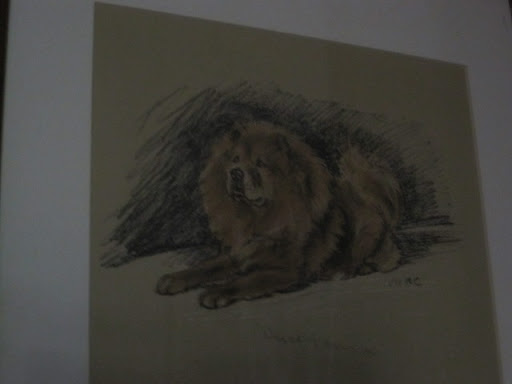 Like Martha, Phoebe and Jackie also love chow chows. This is Abraham in his glory days.