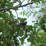 IMG_4835.jpg