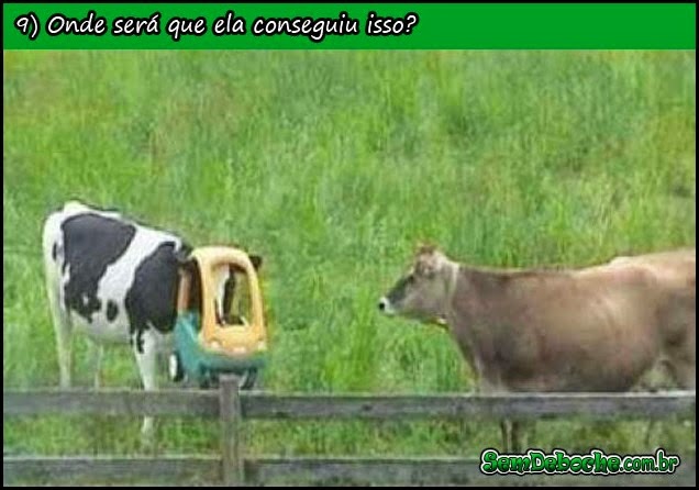 VACA LOCA! VACA LOCA!