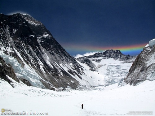 wallpapers national geographic desbaratinando  (33)