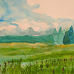 P1010021.jpg