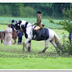 Light Horse & Pony