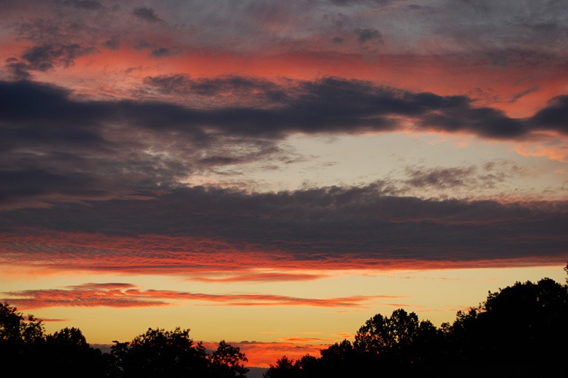 [DSC_0077-copy-25.jpg]