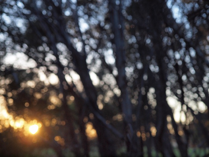 8. morning