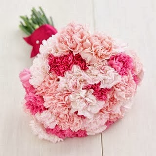 [carnations3-clementine-posy5.jpg]