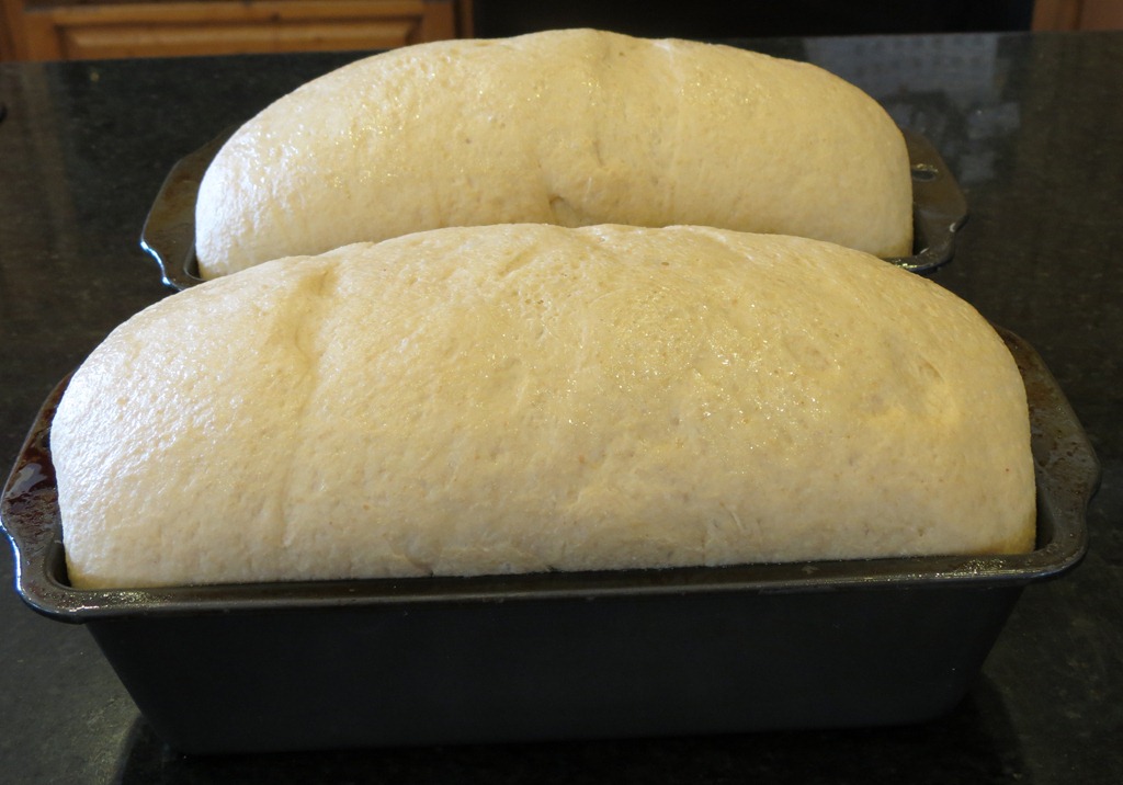 [Whole%2520Wheat%2520Bread%2520ready%2520to%2520bake%255B4%255D.jpg]