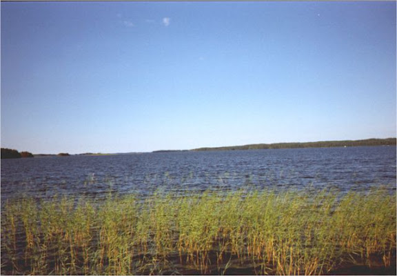 View to Punkaharju