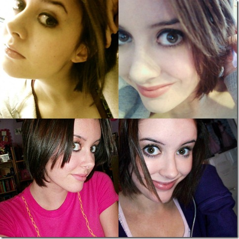 shorthair shorthair