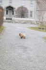 Look at him just taking off all by himself!  He certainly is brave.