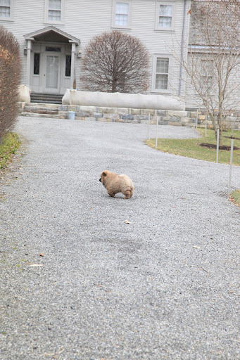 Look at him just taking off all by himself!  He certainly is brave.