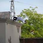 DSC_6782.JPG