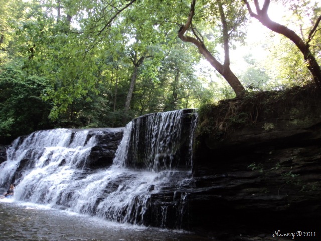 [DSC026248.jpg]