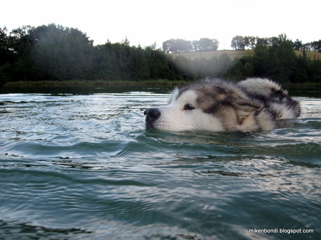 [IMG_1071%255B3%255D.jpg]