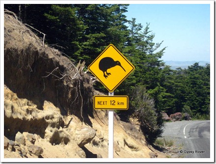 Kiwi's on Mt Ruapehu? That's a surprise.