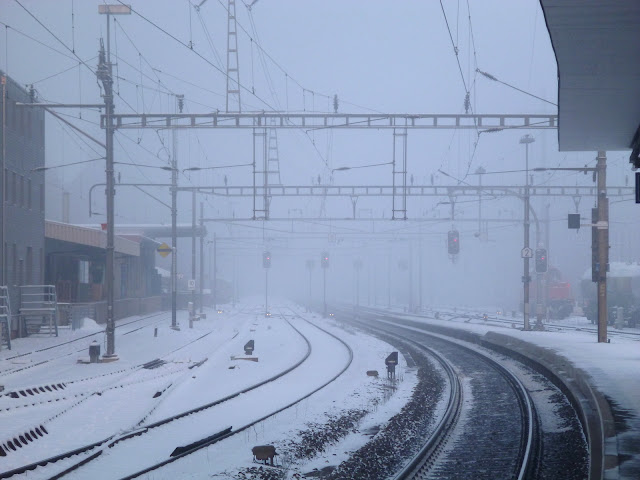 P1000719.JPG