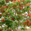 k-Eigene Bilder Jordan 2011 033.jpg