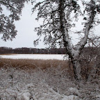 PC242944 [640x480].JPG