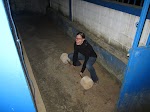 IMG_0892.JPG