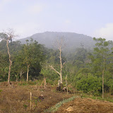 Tanggamus from the farm trails (Daniel Quinn, November 2010)