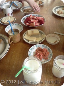 IMG_20120404_122045