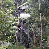 A hut on stilts at the entrance to the forest on Gunung Besar (Daniel Quinn, October 2011)