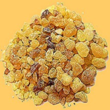 [Olibanum%255B11%255D.jpg]