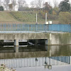 dsc06331.jpg
