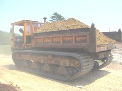 bog moving sand