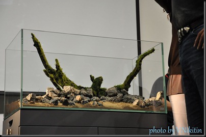 DSC_0064 DSC_0064