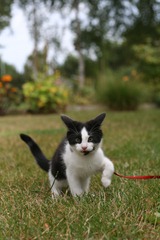 IMG_8525 IMG_8525