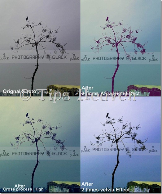 photoscape , effects