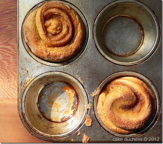 pumpkin-cinnamon-rolls-4